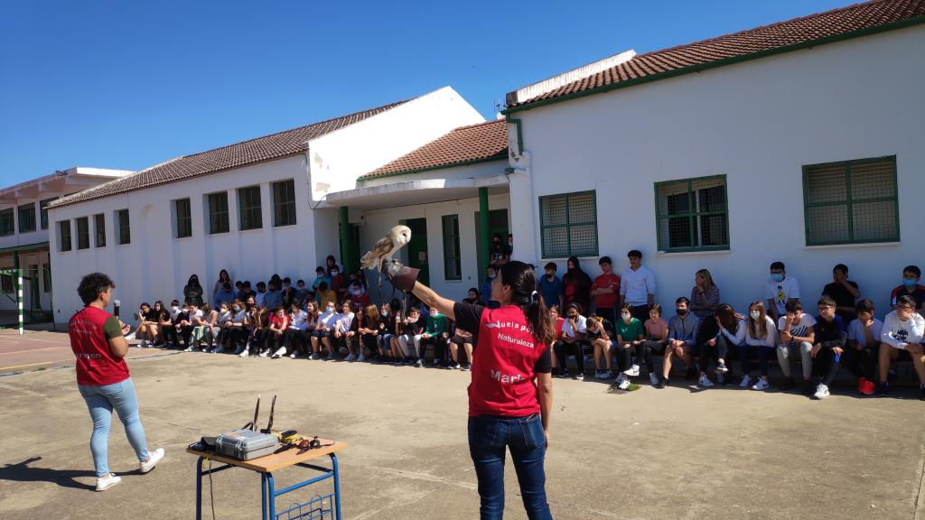 Exhibición de cetrería en nuestro centro