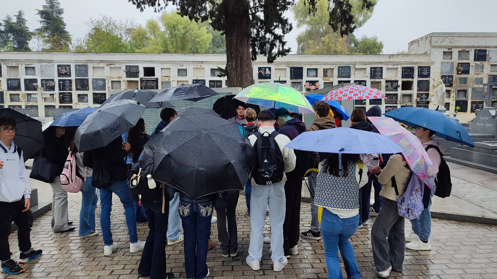 WhatsApp Image 2025-11-14 at 08.00.39